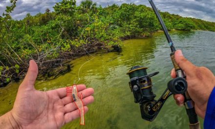 Lawson Lindsey – Flats Fishing With Artificial Shrimp + Fish Can’t Resist This Bait