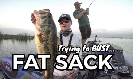Scott Martin Pro Tips – Busting a FAT SACK on Lake Okeechobee