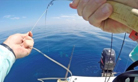 LakeForkGuy – EPIC Fly Fishing Challenge | Fast Fish vs SHARKS!
