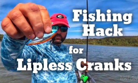 FlukeMaster – Fishing Hack to Keep Your Lipless Crankbait from Getting Snagged