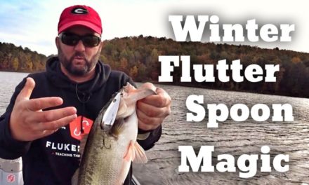 FlukeMaster – Late Fall, Early Winter Fishing – The MAGIC of a FLUTTER SPOON