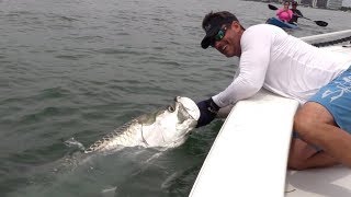 Salt Strong | – MUST-SEE Tarpon Catch In Downtown Miami! (Peter Miller Fishing)