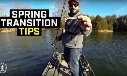 Prespawn Bass | Spring Transition Fishing PreSpawn Tips
