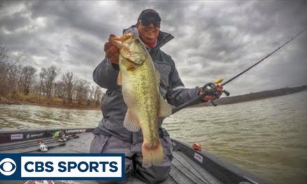 Shallow Crankbait Fishing in Cold Water: My Thoughts