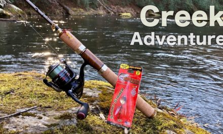 Trout Fishing with a LEGENDARY Lure!!! (Creek Fishing Adventure)