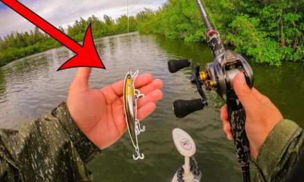 Lawson Lindsey – Bass Fishing Lure Catches a Ridiculous Amount of Saltwater Fish!