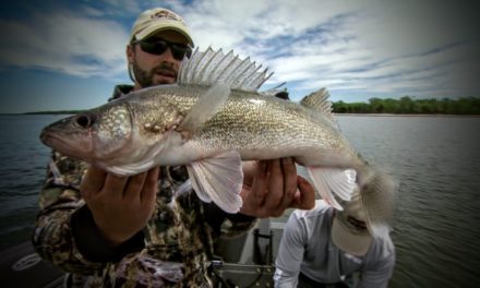 Changing Waters-Walleye