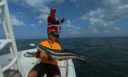 Double Hookup on Same Fish Cape Canaveral Cobia Fishing