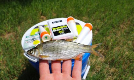 Fishing for Bass with LIVE Bait!! (Florida shiners) | Jiggin' With Jordan