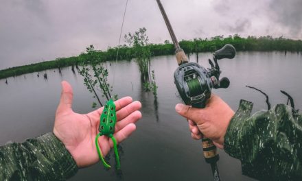 Lawson Lindsey – Frog Fishing the Amazon for Incredible Exotic Fish