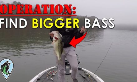 My Plan For Bigger Bass in 2020! | Bass Fishing Insights