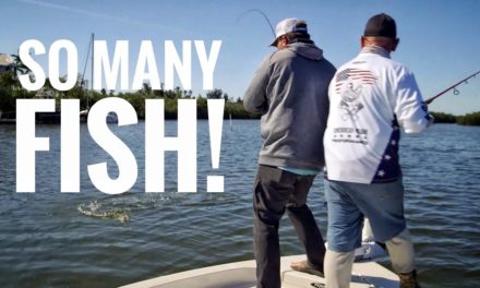 Scott Martin Pro Tips – We Caught SO MANY FISH! SMCTV E19:10