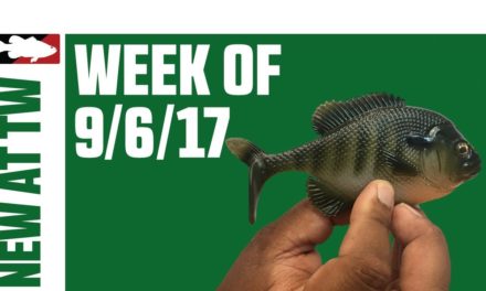 What's New at Tackle Warehouse w. Aaron Quarles – 9/6/17