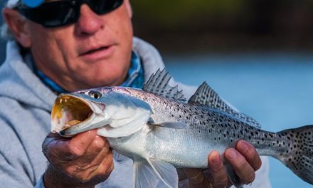 Winter Fishing for Trout and Redfish Near Anclote Key