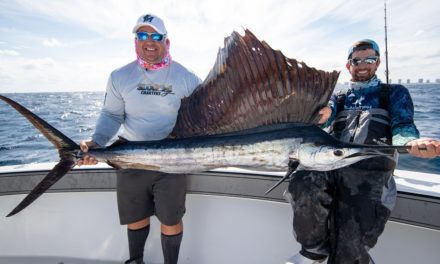 BlacktipH – Hungry Sailfish, Kingfish and Sharks – Awesome Fishing!!