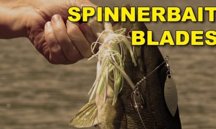 The Best Spinnerbait Blade Types | Bass Fishing