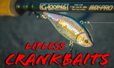 4 Lipless Crankbait Tricks For Springtime Bass Fishing