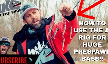 HOW TO USE AN A-RIG FOR BIG PRESPAWN BASS!