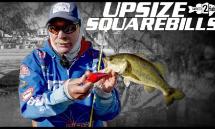 How to Fish Big Squarebill Crankbaits for Prespawn Bass