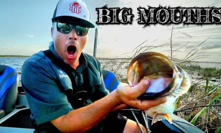 Scott Martin Pro Tips – Passing The BIG MOUTH Test?