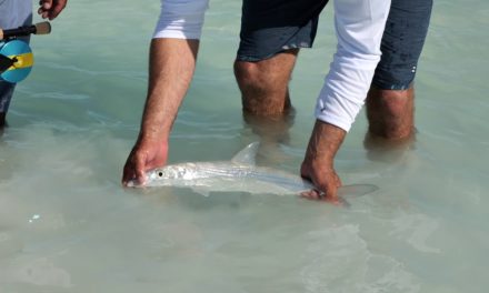 Silver Kings Season 6 | E1 "Bahamas Bonefish Part 1"