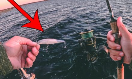 Lawson Lindsey – Strange Fish Absolutely CRUSH This Lure