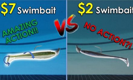 Testing Swimbaits in 13ft Olympic Pool | Eye-Opening Results