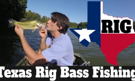 Texas Rig Bass Fishing; How to Fish Texas Rig for Bass