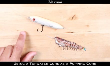 Salt Strong | – Topwater Lure As A Popping Cork (MUST-SEE)!