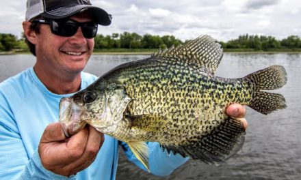 Summertime Crappies – Angling Edge TV