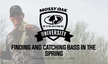 Finding and Catching Bass in the Spring • KVD Fishing Tips