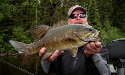 Smallmouth Bass on Dog Lake – Angling Edge TV