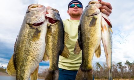 Bass Fishing | Pre-Spawn | BIG BASS at Lake Seminole!