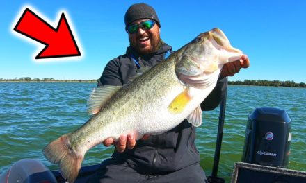 Early SPRING NED Rig FISHING (CATCH More Bass with this SIMPLE TIP!!!)
