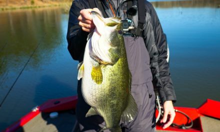 HOT New Lure Catches GIANT BASS (New PB)