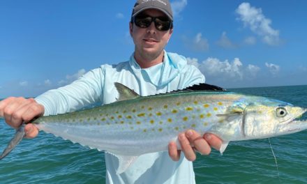 Salt Strong | – How To Catch Spanish Mackerel (The Easy Way)