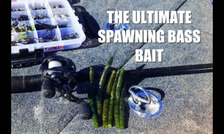 How to Catch Bass When They Move Up to Spawn:(Senko & Ocho:The Not-So-Secret Rig That No One Throws)