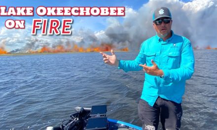 Scott Martin Pro Tips – LAKE OKEECHOBEE IS ON FIRE!