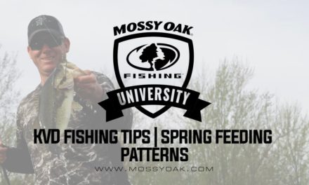 What Do Bass Eat In The Spring • KVD Fishing Tips