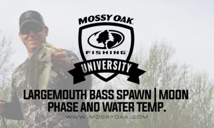 Largemouth Bass Spawn • Water Temperature and Moon Phase