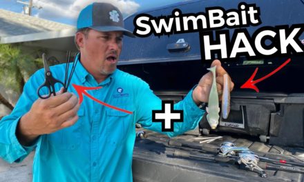 Scott Martin Pro Tips – Swimbait HACK That I DIDN’T Want To Tell You