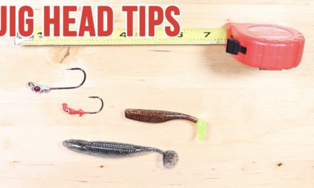 Salt Strong | – How To Choose The Best Jig Head For Different Lures