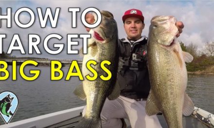 How To Target Big Bass | FTM Live Stream #48