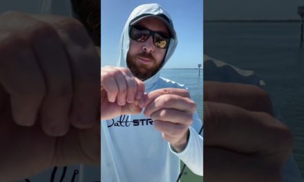 Salt Strong | – TRIPLE Your Trout Strikes (Crazy This Lure Trick)!