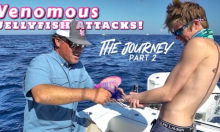 Scott Martin – Portuguese Man o’ War ATTACKS While Fishing for Reef Donkeys!