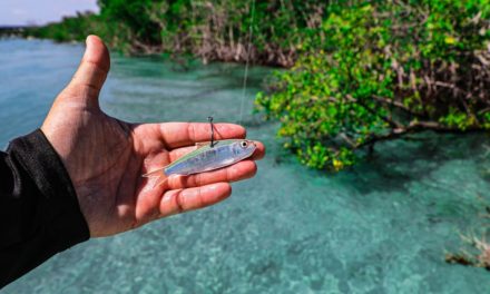 Lawson Lindsey – Fishing Live White Baits in Crazy Crystal Clear Water for Tropical Fish