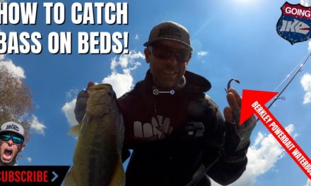 Mike Iaconelli Secret Tips & Tactics – How to Catch Bass on Beds