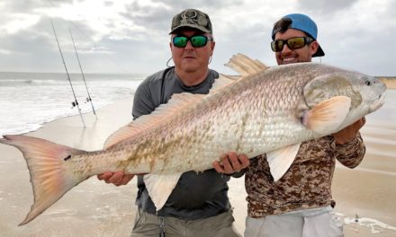 BlacktipH – MONSTER Red Drum and Sharks from the Beach