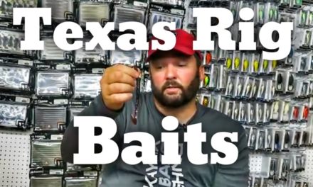 FlukeMaster – My Favorite Baits for a Texas Rig – Tackle Tuesday