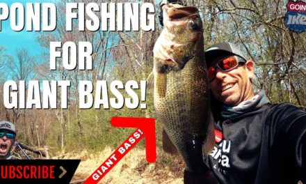Mike Iaconelli Secret Tips & Tactics – POND FISHING FOR GIANT BASS!